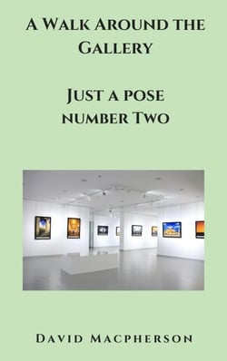 A Walk Around the Gallery - Just a Pose, #2