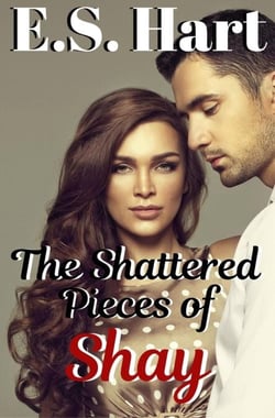 The Shattered Pieces of Shay