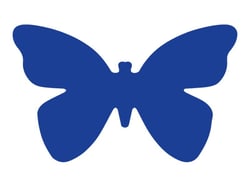Perforatrice - papillon