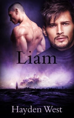 Liam - Brothers, #4