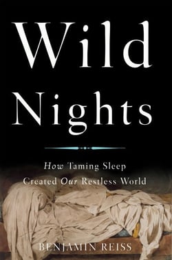 Wild Nights - How Taming Sleep Created Our Restless World
