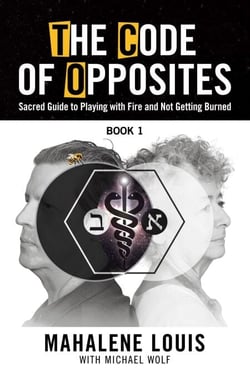 The Code of Opposites-Book 1 - The Code of Opposites - Series, #2