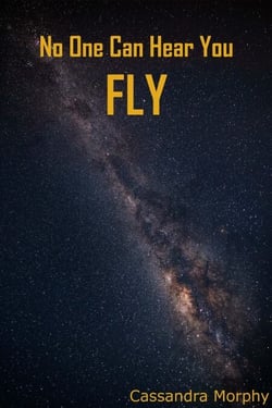 No One Can Hear You Fly - No One Can Hear You, #4
