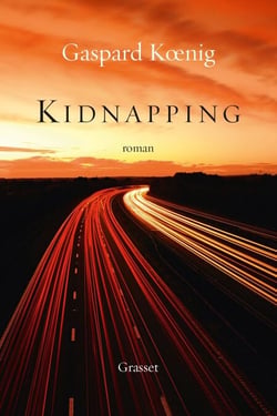 Kidnapping - roman
