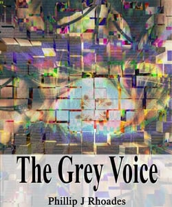 The Grey Voice