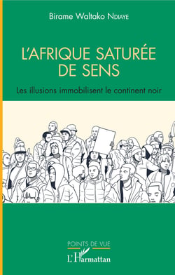 L'Afrique saturée de sens - Les illusions immobilisent le continent noir