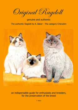 Original Ragdoll - genuine and authentic
