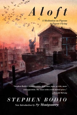 Aloft - A Meditation on Pigeons &amp; Pigeon-Flying