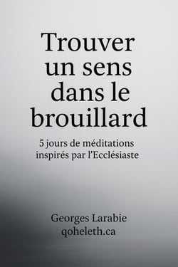 Trouver un sens dans le brouillard