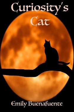 Curiosity's Cat