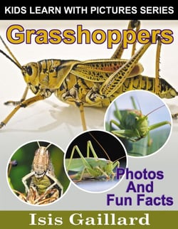 Grasshoppers Photos and Fun Facts for Kids - Kids Learn With Pictures, #135