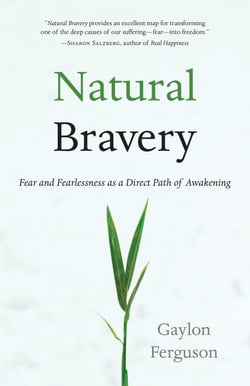 Natural Bravery - Fear and Fearlessness as a Direct Path of Awakening