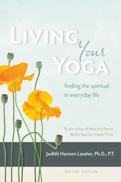 Living Your Yoga - Finding the Spiritual in Everyday Life