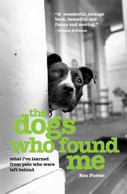 The Dogs Who Found Me - What I've Learned from Pets Who Were Left Behind