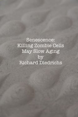 Senescence: Killing Zombie Cells May Slow Aging