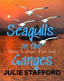Seagulls on the Ganges