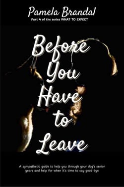 Before you Have to Leave - What To Expect, #4