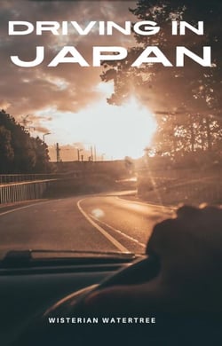 Driving In Japan - Japan - What To Expect