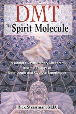 DMT: The Spirit Molecule - A Doctor's Revolutionary Research into the Biology of Near-Death and Mystical Experiences