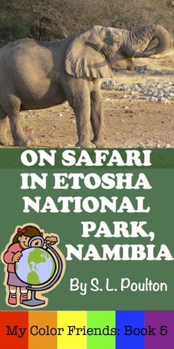 On Safari in Etosha National Park, Namibia - My Color Friends, #5