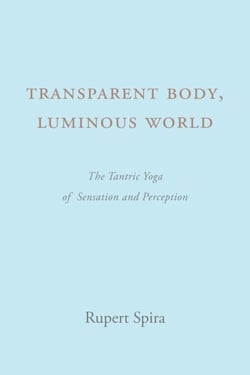Transparent Body, Luminous World