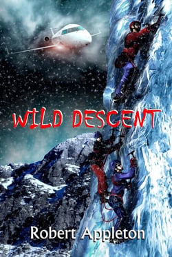 Wild Descent (Beyond Limits Book 2) - Beyond Limits, #2