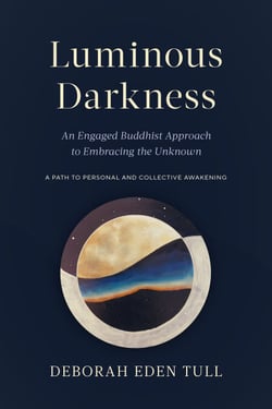 Luminous Darkness - An Engaged Buddhist Approach to Embracing the Unknown