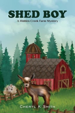 Shed Boy - Hidden Creek Farm Mystery
