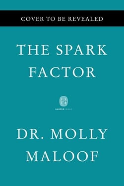 The Spark Factor - The Secret to Supercharging Energy, Becoming Resilient, and Feeling Better Than Ever