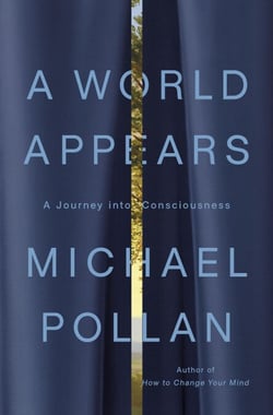 A World Appears - A Journey into Consciousness