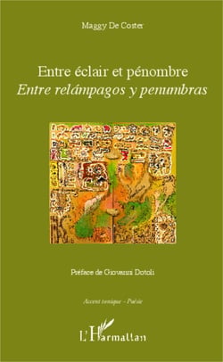 Entre éclair et pénombre - Entre relàmpagos y penumbras - Edition bilingue Français/Espagnol - Préface de Giovanni Dotoli