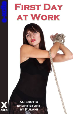 First Day at Work - A collection of five erotic stories