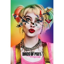 Poster Birds Of Prey Dazed And Confused