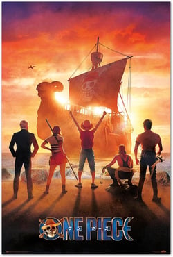 Poster Grupo Erik - One Piece Netflix Straw Hat Pirates