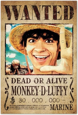 Poster Grupo Erik - One Piece Netflix Wanted Monkey