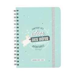 Agenda scolaire semainier 2022/2023 - Grand Format - Mr Wonderful - Contient des idées