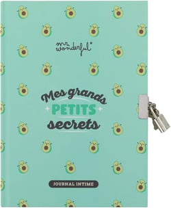 Journal intime Mr Wonderful - Mes grands petits secrets