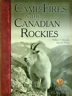 CampFires in the Canadian Rockies