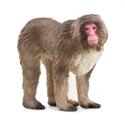 Macaque japonais - Schleich
