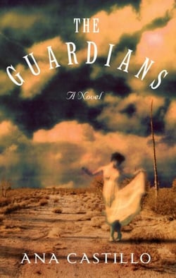 The Guardians - A Novel