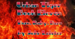 Urban Tiger Book Eleven Burn, Baby, Burn - Urban Tiger, #1