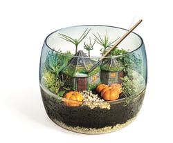 Terrarium  Clementoni - Harry Potter