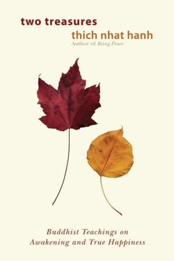 Two Treasures - Buddhist Teachings on Awakening and True Happiness