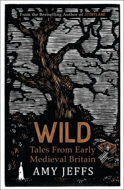 Wild - Tales from Early Medieval Britain from the Bestselling author of Storyland