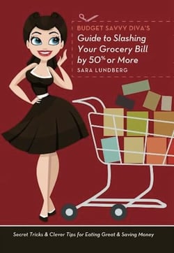 The Working Gal's Guide to Babyville - Your Must-Have Manual for Life with Baby