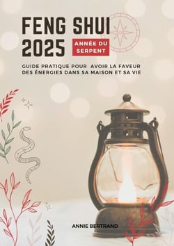 Feng Shui 2025 - Année sur Serpent - Guide pratique pour avoir la faveur des énergies dans sa maison et sa vie