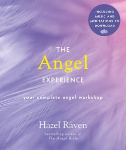 The Angel Experience - Your Complete Angel Workshop Book with Audio Downloads