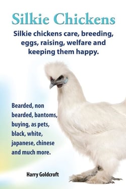 .   Silkie Chickens. Silkie Chickens Care, Breeding,Eggs,Raising, Welfare And Keeping Them Happy.