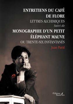 Entretien du Café de Flore – Lettres alchimiques - suivi de Monographie d'un petit éléphant mauve ou Trente-six instantanés
