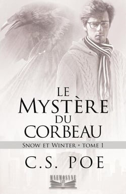 Le Mystère du corbeau - Snow et Winter, #1